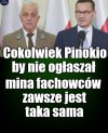 Szkodnik