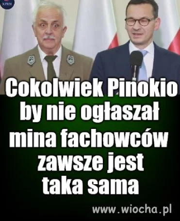 Szkodnik
