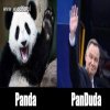 Niemiłosiernie nam panujący