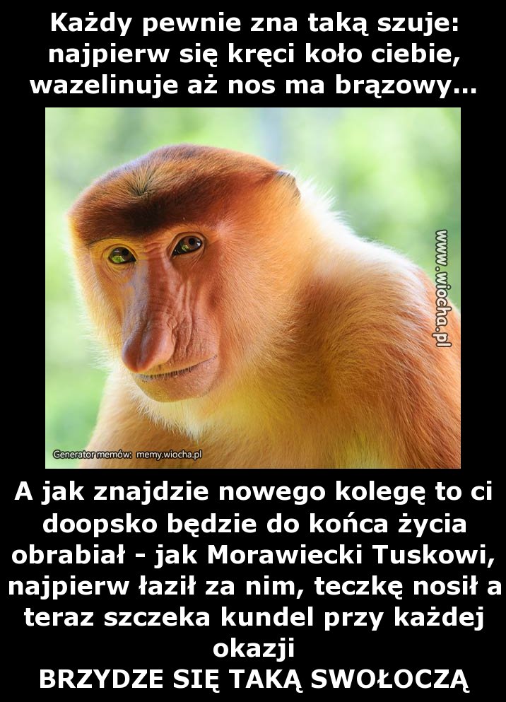 Każdy pewnie zna taką szuje: