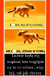 Jakie to prawdziwe