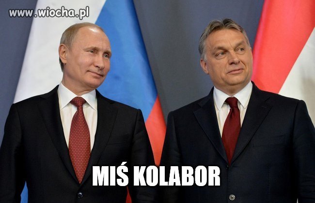 Gdy UE reaguje on nie robi nic a nawet przeszkadza