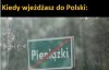 Polski Ład na jednym zdjęciu