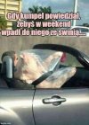 Dosłownie