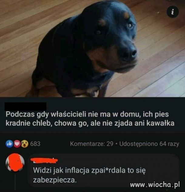Inflacja