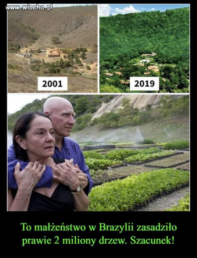 Brawo!