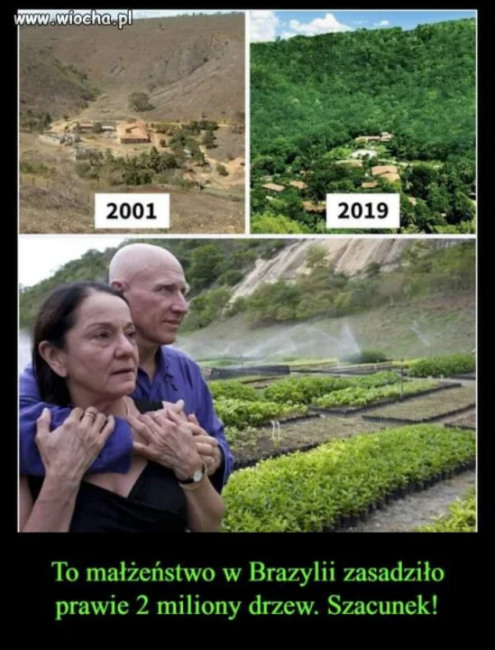 Brawo!