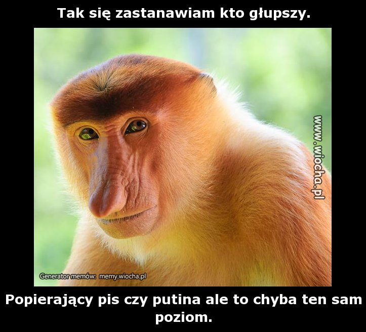 Tak się zastanawiam kto głupszy.