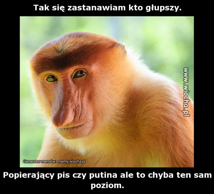 Tak się zastanawiam kto głupszy.
