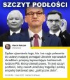 PiS = złodziejstwo