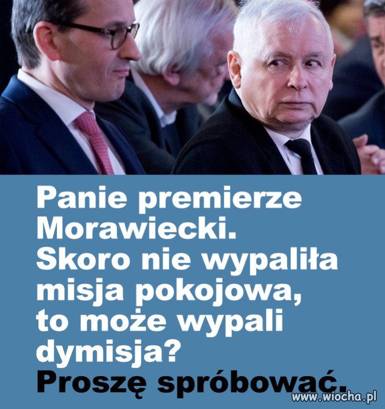 Darmowa porada 