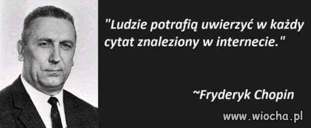 Cytaty internetowe 
