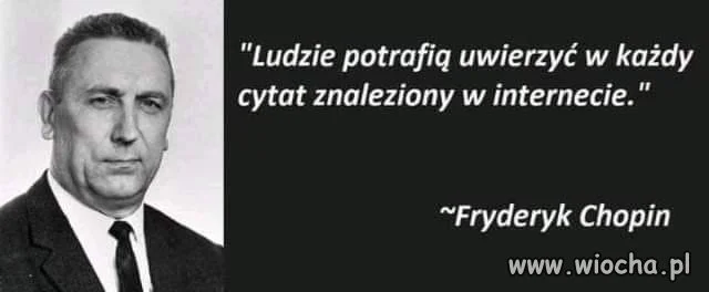 Cytaty internetowe 