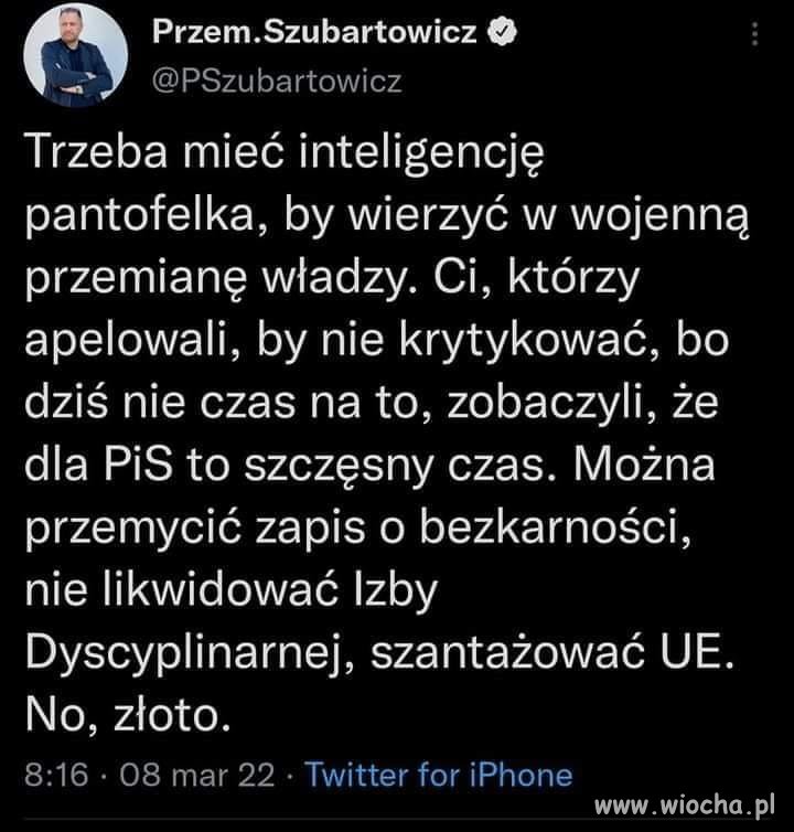 Inteligencja pantofelka 