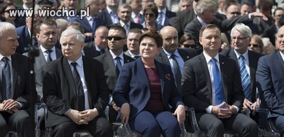 Opluć ich, powidzą że deszcz pada 