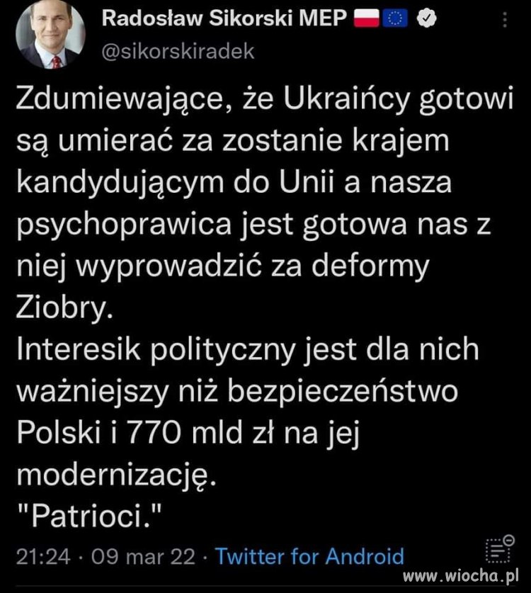 PiS-owscy  'patrioci'