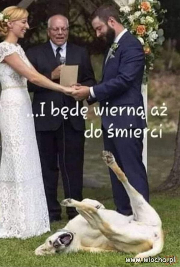 Ordo iuris.