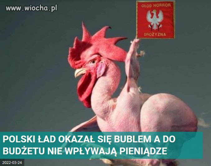 PiS desperacko szuka wyjścia z matni.