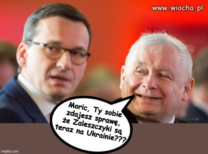 No to dokąd