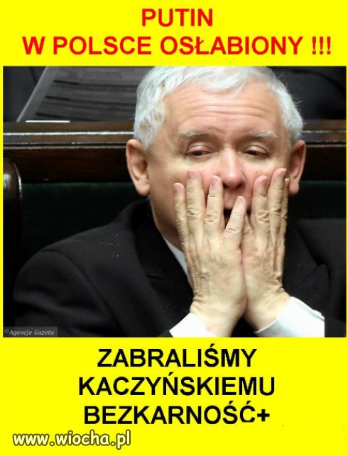 W cieniu wojny, program PiSu: bezkarnosc+ nie wypalil!