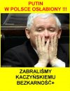W cieniu wojny, program PiSu: bezkarnosc+ nie wypalil!
