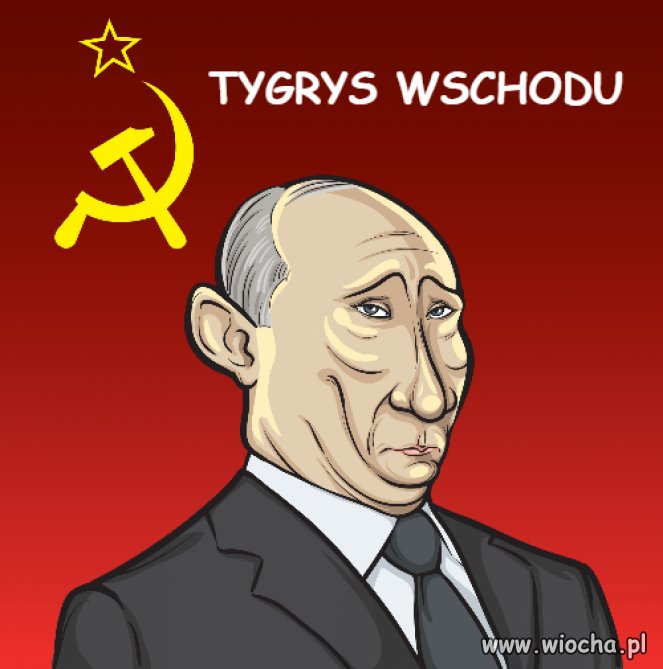 Tytuł zbędny 