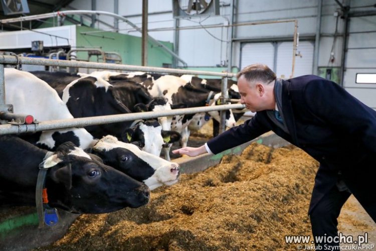 W końcu odnalazł swoje miejsce?