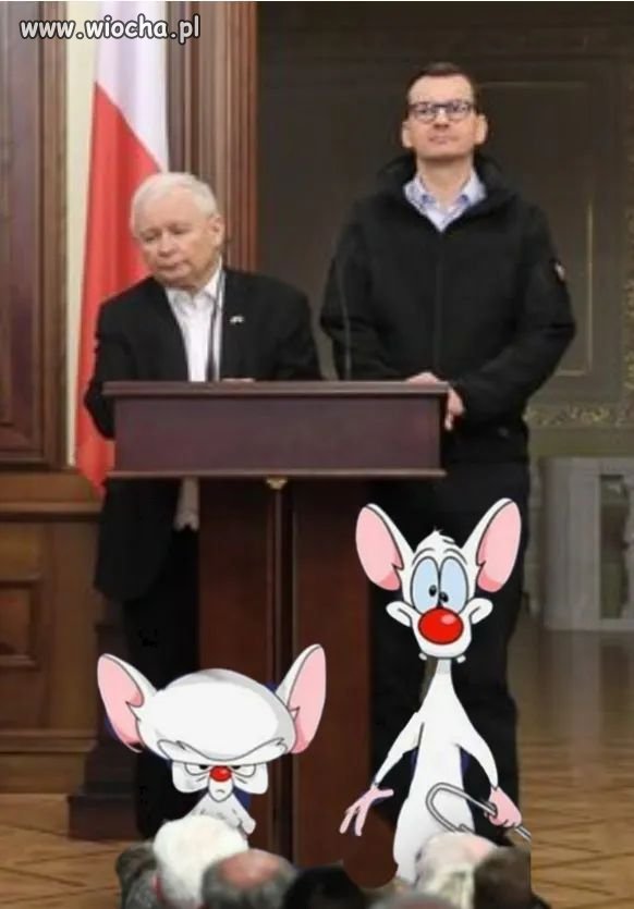 Znajdź różnice 