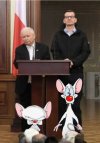 Znajdź różnice 