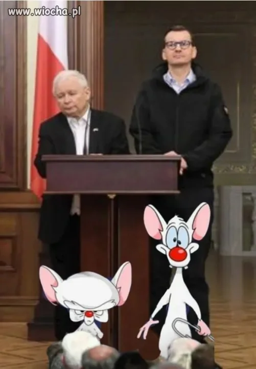 Znajdź różnice 