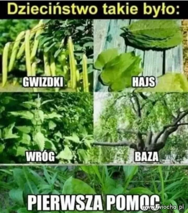 Tak kiedyś wyglądało 