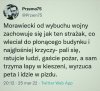 Bez tytułu 