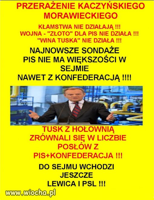 Knucie i szczucie Kaczyńskiego i Kurskiego już nie działa!