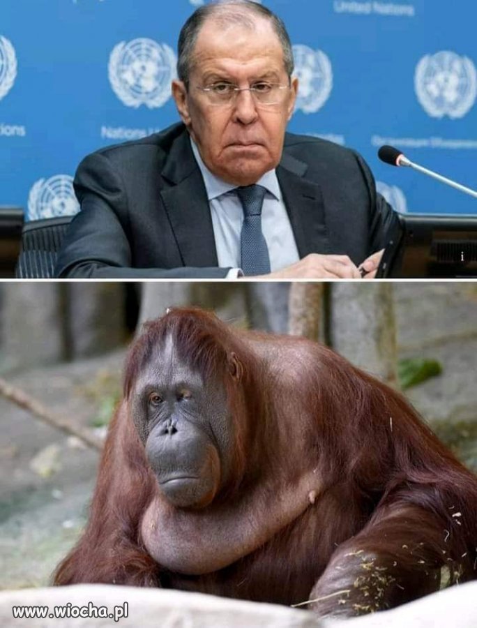 Czyżby...