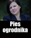 Delikatnie mówiąc