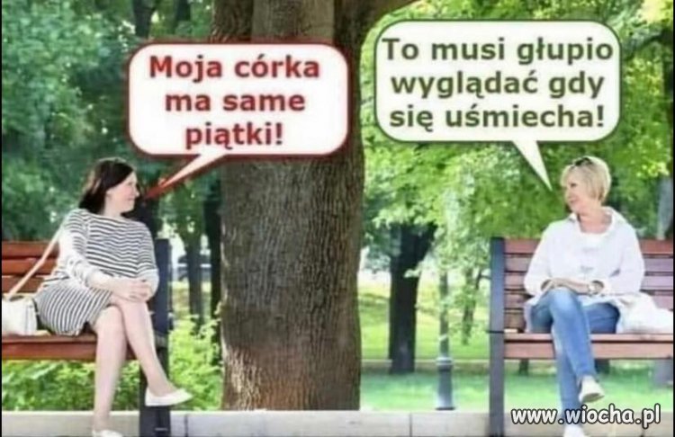 Rozmowy w parku 