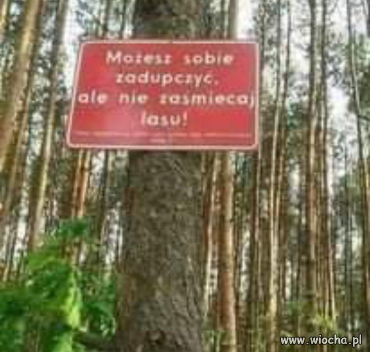Tabliczki w lasach coraz fajniejsze