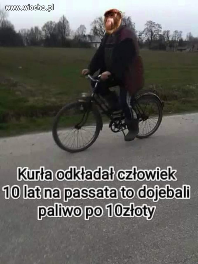 Dobrze, że się ciepło robi 