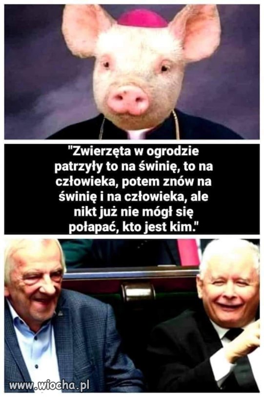 Orwell pięknie się tu wpisuje