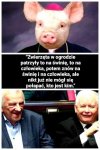 Orwell pięknie się tu wpisuje
