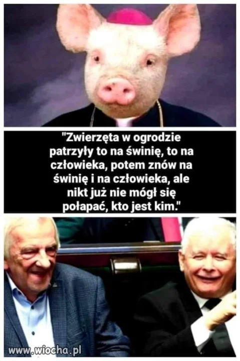Orwell pięknie się tu wpisuje