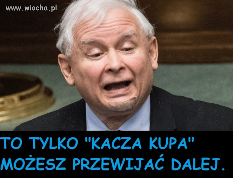 Tylko tu zostawię