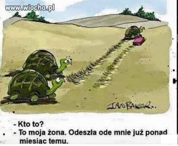 Odeszła od niego