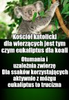 Strawa, bez której dosłownie nie mogą żyć