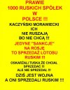 Bo przyjaciol Putina PiS nie ruszy...dawno to ustalili z Orbanem!