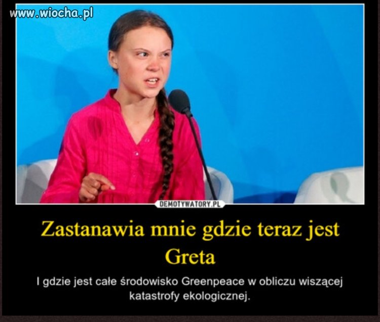 Znalezione 