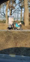 Spacerek 