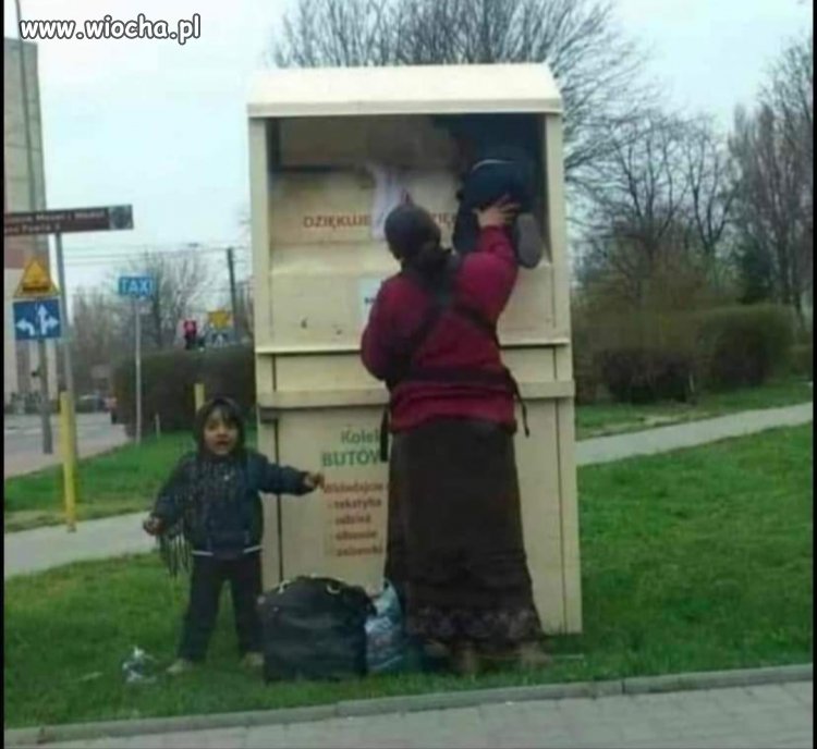 Kiedy znudził Ci się kaszojad