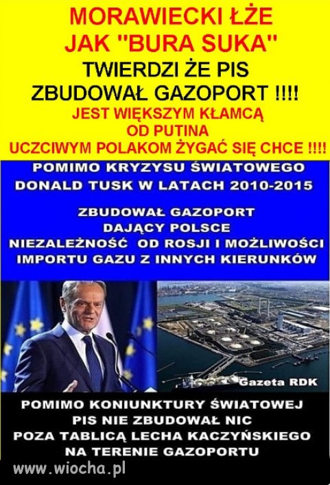 Jedyne co potrafi zgraja PiSu, to KŁAMAĆ i KRAŚĆ!