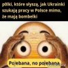 PisOlki.